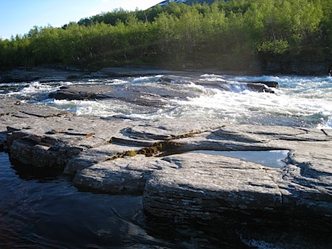 Abisko Juni 2009 dag 5 - 47.jpg